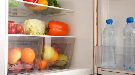 Секреты свежих продуктов: где хранить еду в холодильнике