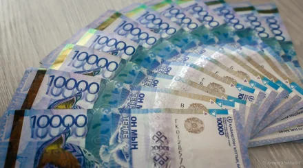 Елімізде 1,73 млн теңге көлеміндегі қайтарымсыз грантты кімдер ала алады?