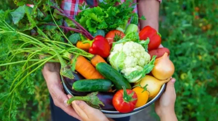Врач рассказал, какие продукты снижают риск смертельных заболеваний