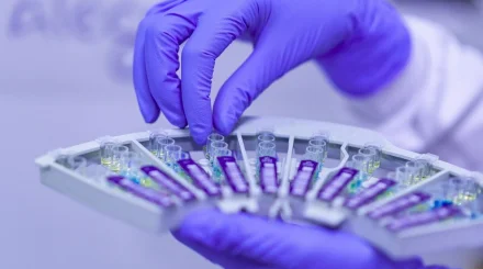 Американец заразился вирусом Бурбон, от которого нет вакцины