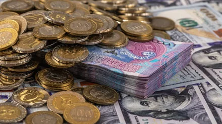  36 қылмыстық іс қозғалды: Шенеуніктер МӘМС арқылы 3,5 млрд теңге жымқырған 