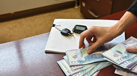  Мемлекеттік кірістер комитеті салық төлеушілерге маңызды ескерту жасады 