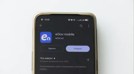 Казахстанцы смогут узнать адрес своего избирательного участка через eGov Mobile