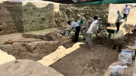  Отырарда Алтын орда дәуіріне жататын мешіттің орны табылды 