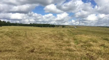БҚО-да прокурорлар шаруалар пайдаланбаған мыңдаған гектар жерді қайтарып алды