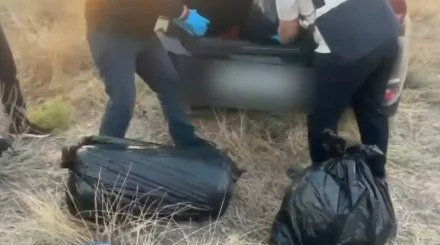 Полициядан қашқан жүргізуші 43 келіден астам марихуанамен қолға түсті