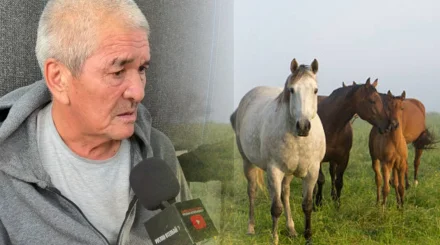  «Кепілге қойғызған»: Ақталып шыққан 60 жастағы бақташы туралы жаңа дерек белгілі болды (ВИДЕО) 