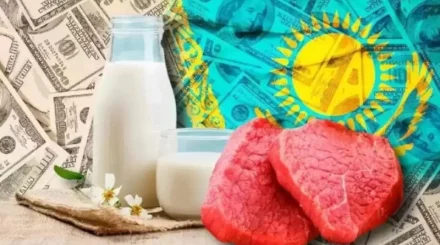 Почти половину произведенных в Казахстане товаров планируют отправить на экспорт