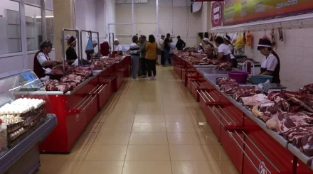 Продовольственный акцент: Казахстан наращивает выпуск собственной продукции