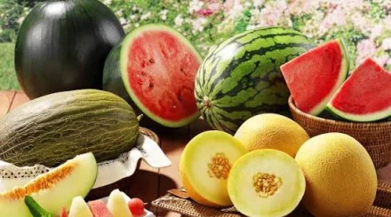 Тамызда қарбыз бен қауынның қайсысы пайдалы? Мамандар жауабы