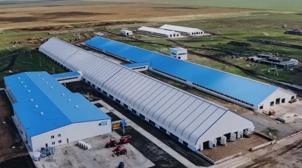 Тәулігіне 150 тонна: Солтүстік Қазақстанда Орталық Азиядағы ең ірі сүт фермасы ашылды