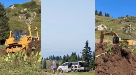 «Пока он еще жив»: новые кадры с Кок-Жайляу встревожили алматинцев