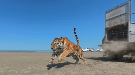   Үйін тапқан Үміт   