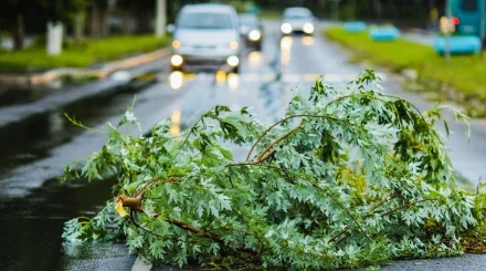 Тысячи жителей Усть-Каменогорска остаются без света из-за непогоды