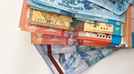Қазақстан азаматтарының пікірінше жайлы өмір сүру үшін табыс қанша болуы керек?