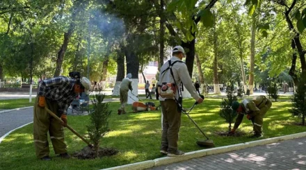   Экологиялық мәдениет – ұлттың жаңа өмір салты   
