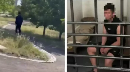 Астанчанка добилась уголовного дела после нападения мужчины в парке