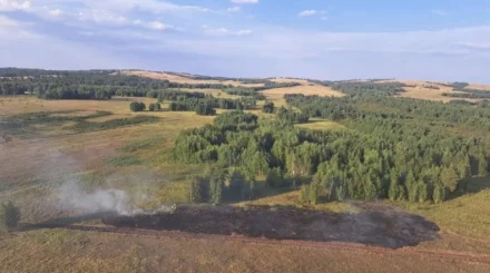 Сразу три лесных пожара произошли за сутки в Казахстане