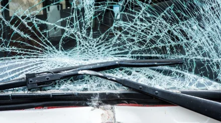 Пьяный водитель BMW врезался в дерево в Жамбылской области