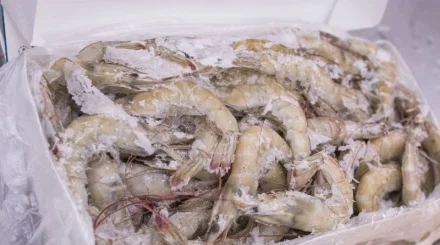 Тонны продукции из Казахстана задержали на границе с Россией