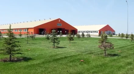 Павлодарда 6 бірдей жұмысшының өліміне күдікті үшінші адам қамауға алынды