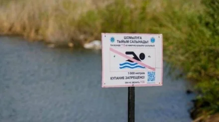  Астана тұрғыны шомылуға тыйым салынған жерде суға түскені үшін жазаланды 