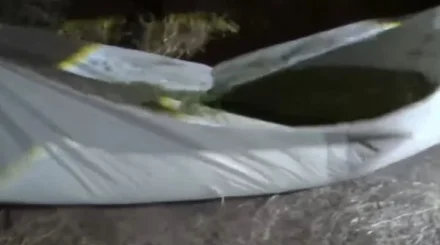 Жамбыл облысында ер адам ауыл маңына есірткі егіп, 123 кг зиянды өнім жинап алған (ВИДЕО)