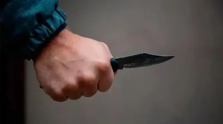 Анасына пышақ сұғып, Вьетнамға қашып кеткен күдікті Қазақстанға қайтарылды
