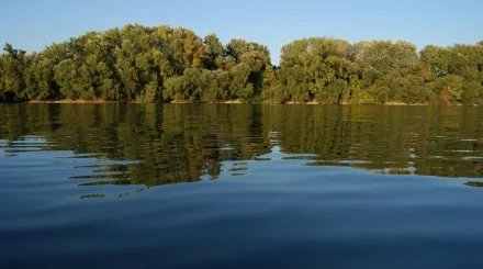 Две сестры утонули во время отдыха с родителями близ Астаны