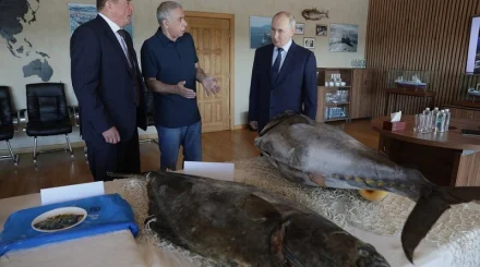 Путин впервые приехал на Курилы и вызвал протест Японии