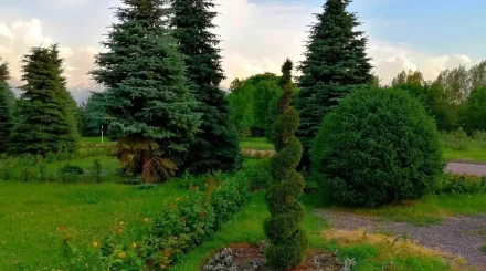 Алматыда 17-23 тамыз аралығында ауа райы қандай болады