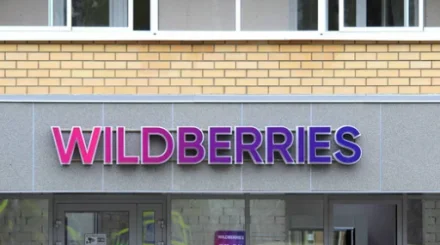 Wildberries пен сатушылардың шығыны 800 млрд рубльге жетуі мүмкін