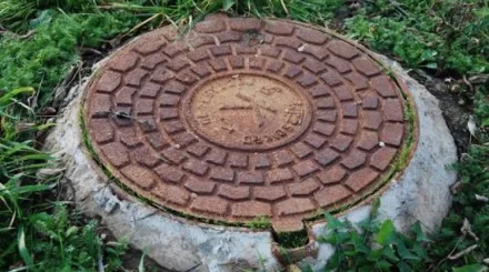 Көкшетауда құдыққа түсіп кеткен ит құтқарылды