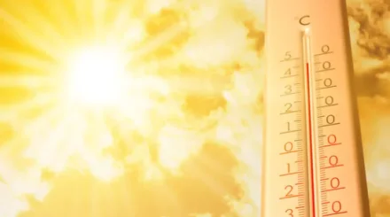 +43°C-қа дейін ыстық: Бірқатар өңірде ескерту жарияланды