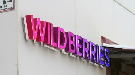 Wildberries маркетплейсі мен сатушыларының шығыны 600–800 миллиард рубльге жетуі мүмкін