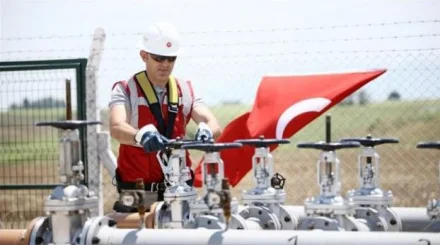 Турция приостановила закупки нефти у России после украинских атак