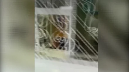 Екібастұзда 37 жастағы жігіт полиция бөлімшесінде қайтыс болды