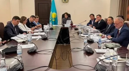 В Казахстане снизились показатели материнской смертности и гибели в ДТП — итоги Минздрава
