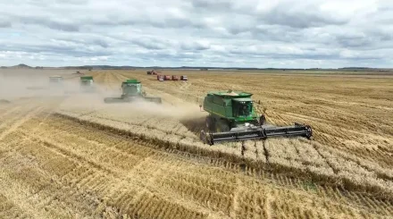 Қазақстанда егін жинау науқаны жоғары өнімділікпен басталды