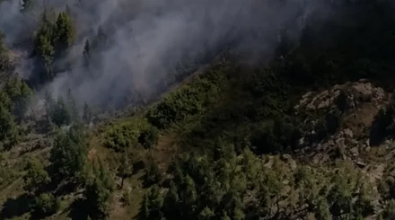 Қазақстанның орман қорында бір күнде он өрт тіркелді