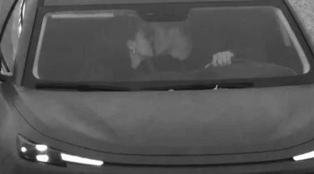Поцелуй за рулем: парень из Кокшетау получил штраф в размере 10 МРП