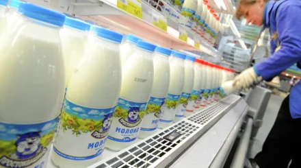 В Казахстане сильно подорожали молочные продукты