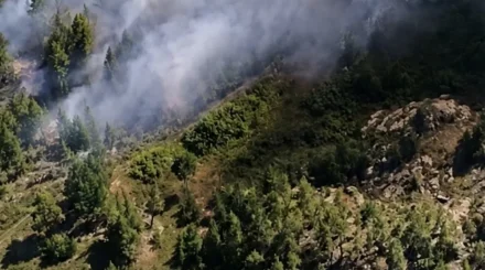 Қазақстанның орман қорында бір күнде он өрт тіркелді