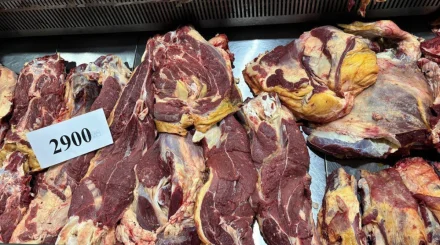 3,5 тонны мясной продукции представили на ярмарке в Актобе