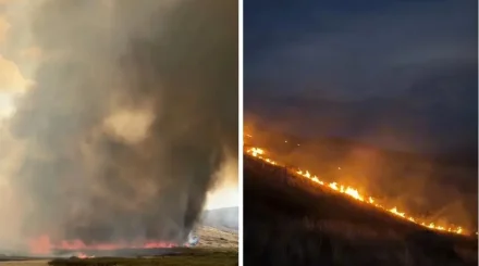 Қарағанды облысында ірі табиғи өрт сөндіріліп жатыр