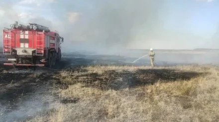Ақмола облысында құрғақ шөп өртенді