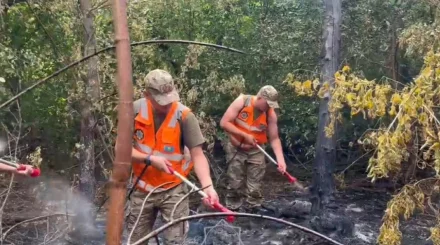  Елімізде бір күнде 12 орман өрті тіркелді   