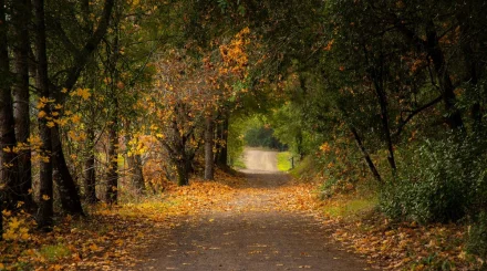 Елімізде күзде күн жылы болады