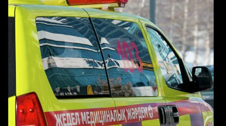 Қарағандыда ағаш бұтағы құлап, 5 жастағы бала қаза тапты