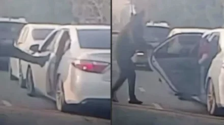 Похищение и убийство мастера спорта: шесть человек предстанут перед судом в Шымкенте